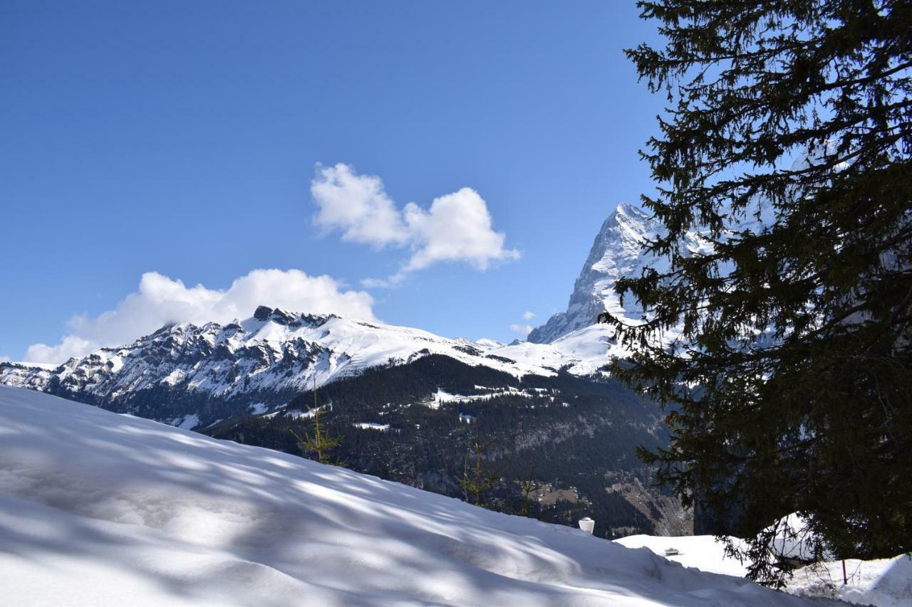 Sportlodge Muerren Kültér fotó